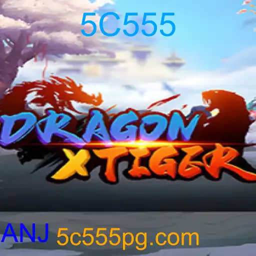 DragonXTiger